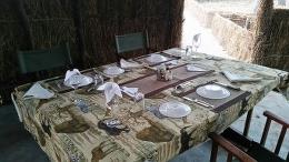 Tanzania 2 Buffalo Hunting Safari in Selous Game Reserve 17