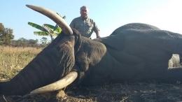 Hunt Elephant in Mozambique 7