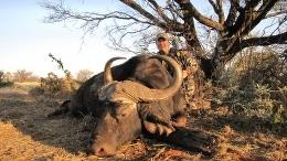 Cape Buffalo Bow Hunt 8