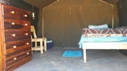 Northern  Namibia ELEPHANT HUNT 11