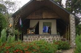 Damaro Camp Bungalow
