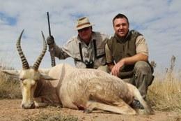 Nice white blesbuck trophy