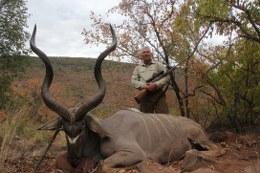Huge kudu