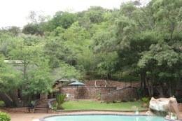 Giraffe pool lodge pool 2