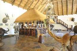 5 Star Hunting Safari in South Africa 19