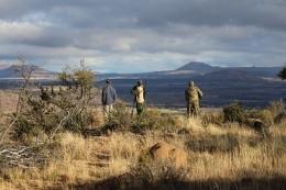 Glassing the Free State