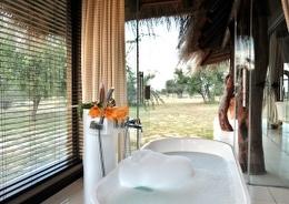 South Africa Buffalo Hunt10