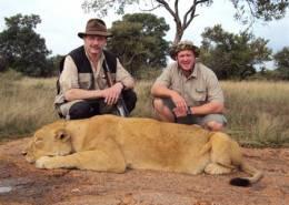 South Africa Free-Range Lion 5
