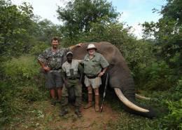 Zimbabwe Elephant Hunt 8