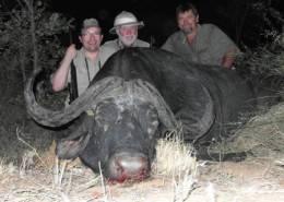 Sengwe Cape Buffalo Hunt 5