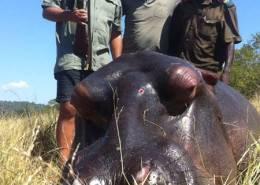 Hunt Crocodile and Hippo in Zimbabwe 13