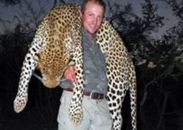 Hunt Leopard in Zimbabwe 1