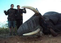 Hunt Elephant in South Africa 5