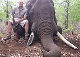 Zimbabwe Elephant Hunt 2