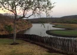 Hunt Elephant in Zimbabwe 19