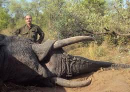 Hunt Elephant in Zimbabwe 1