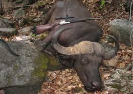 Full Bag Safari in Zimbabwe 2