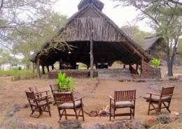 Zimbabwe Lion Hunt 19