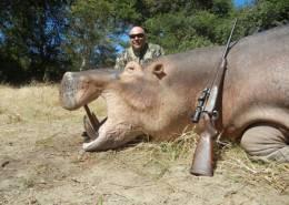 Hunt Hippo in Zimbabwe 4