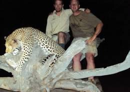 Hunt Leopard in Zimbabwe 5