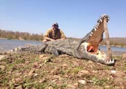 Hunt Crocodile and Hippo in Zimbabwe 1