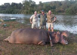 Hunt Hippo in Zimbabwe 12