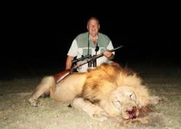 South Africa Free-Range Lion 1