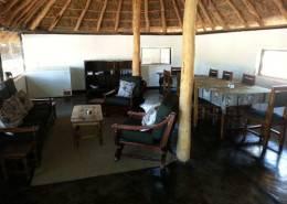 Cape Buffalo Hunt in Zimbabwe 13