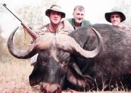 Cape Buffalo Hunt in Zimbabwe 1