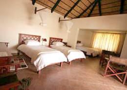 Hunt Hippo in Zimbabwe Lodge Photo 2