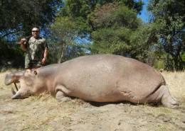 Hunt Hippo in Zimbabwe 6