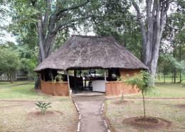 Zimbabwe Cape Buffalom Special 19