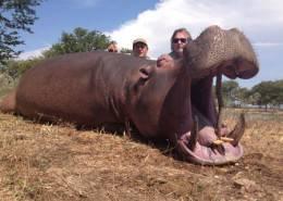 Hunt Hippo in Zimbabwe 3
