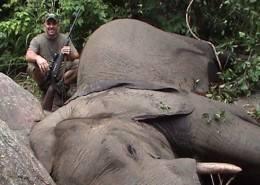 Hunt Elephant in Zimbabwe 2