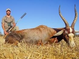 Trophy Blesbok
