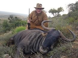 Discounted trophy blue wildebeest
