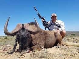 Trophy Black Wildebeest