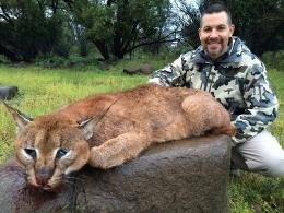 Trophy Caracal