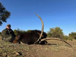 Unusual trophy sable