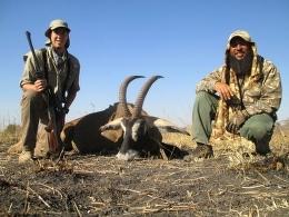Nice Tanzania Roan trophy