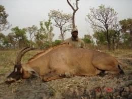 Roan Hunting Safari in Cameroon 2
