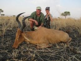Neumans Hartebeest in Ethiopia