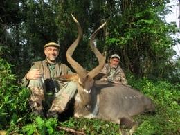 Mountain Nyala Trophy