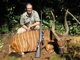 Hunt Sitatunga in Cameroon 10