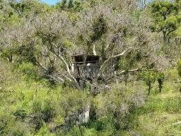 Premium Bow Hunt in Namibia 10