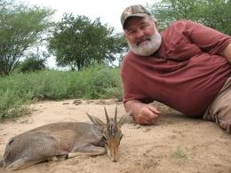 Guenther's Dik-Dik in Omo Valley