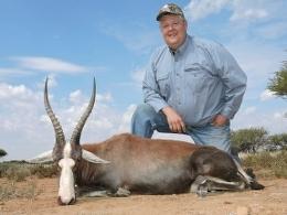 Nice Blesbok