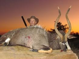 Beginner Safari Nyala