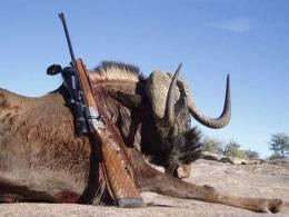 Premium Rifle hunting safari in Namibia 12