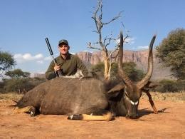 Limpopo Trohy Nyala